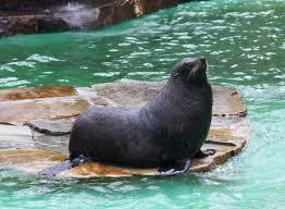 Зоопарк Дортмунда