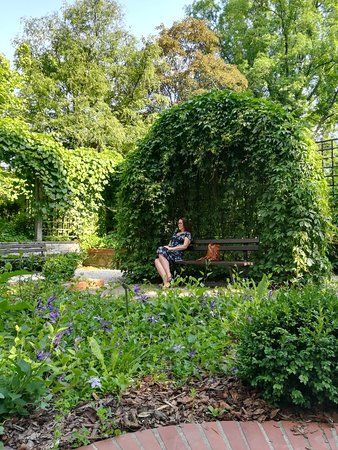 Ботанічний сад варшавського університету