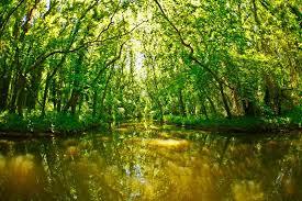 Національний парк Балтата