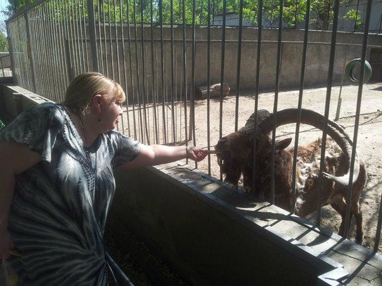 Одеський зоопарк