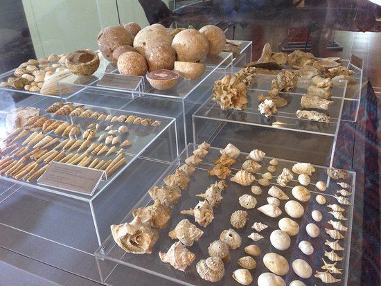 Міський музей моря Таласса