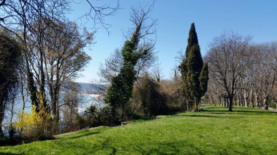 Морський сад