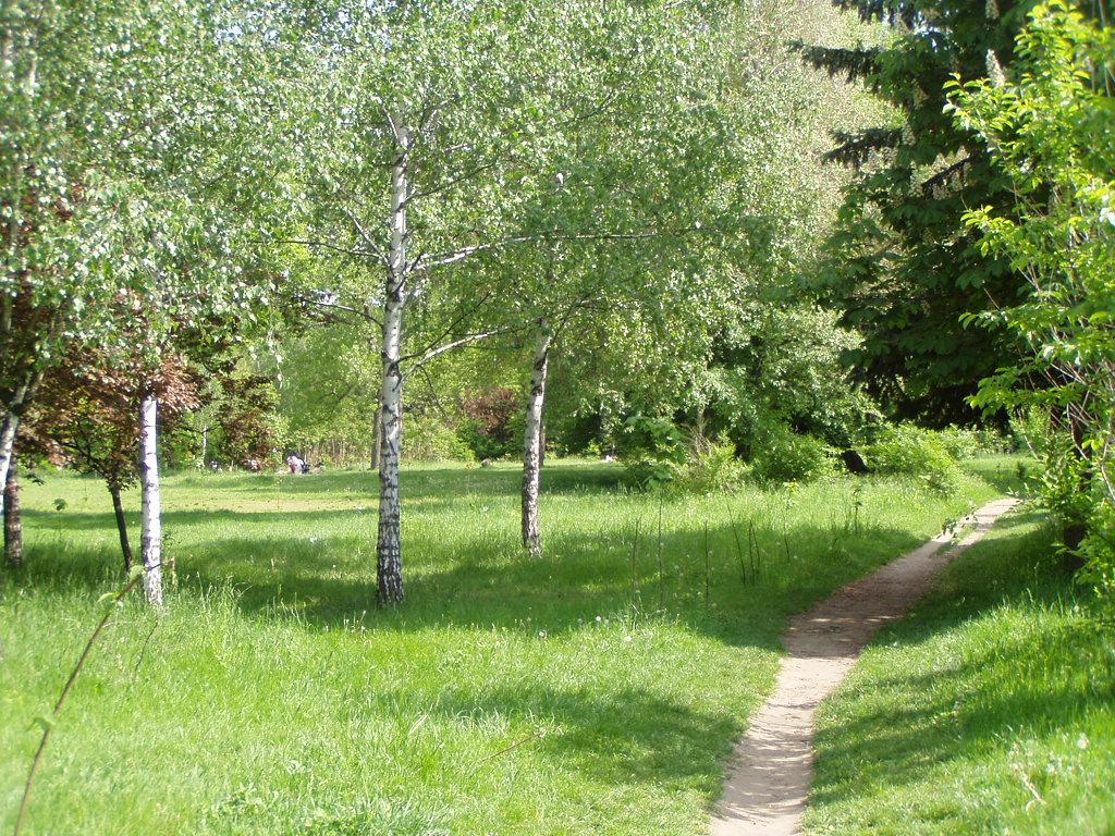 Долина троянд