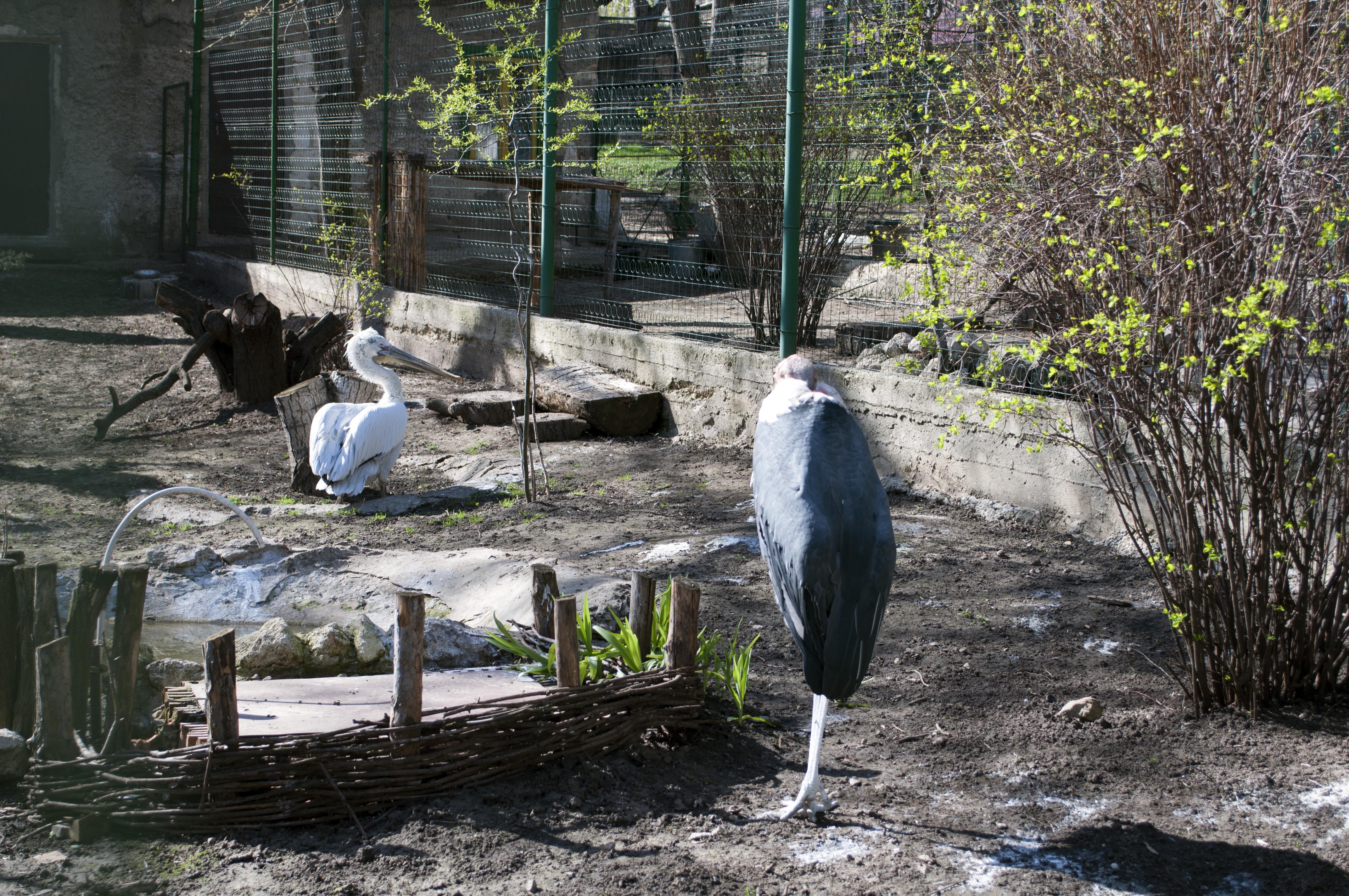 Кишинівський зоопарк
