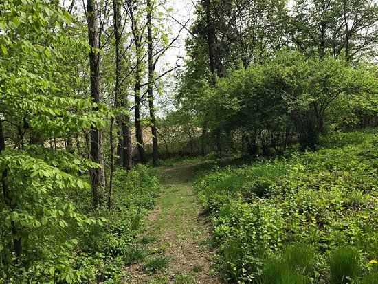 Сирецький дендрологічний парк