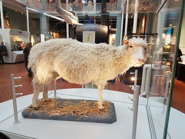 Національний музей Шотландії