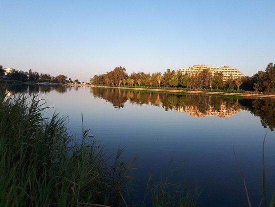 Тітреєнгель