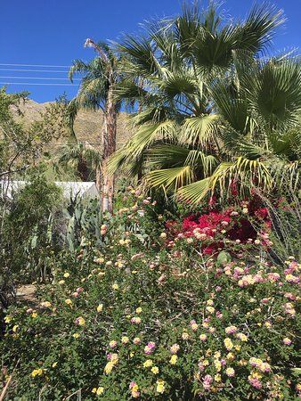 Ботанічний сад кактусів і рослин пустелі Moorten