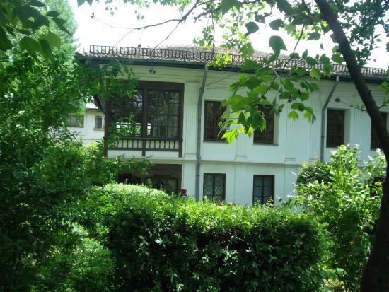 Музей Теодора Палладі