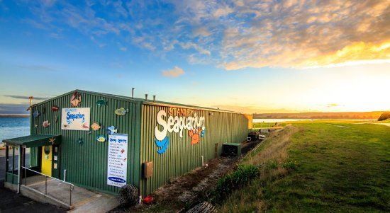 Акваріум Стенлі