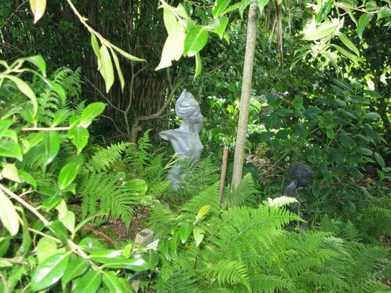 Wild Subtropical Garden