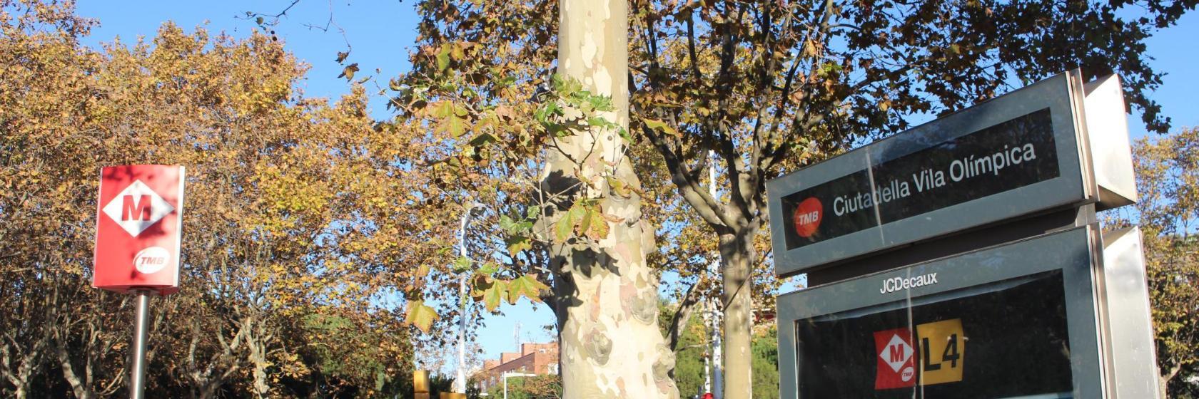 Парк Цитаделі