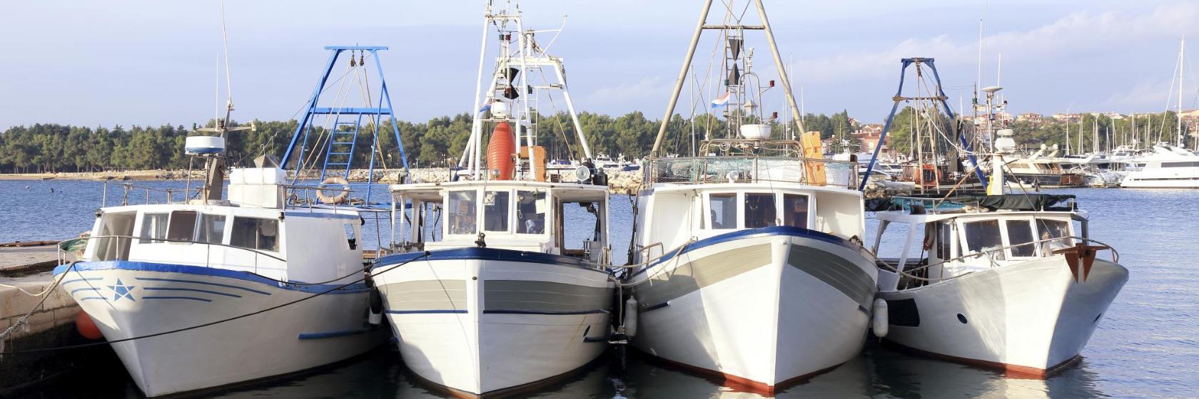 Порт Савудрії