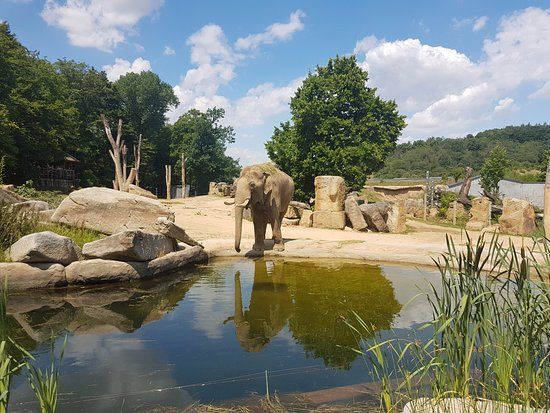 Празький зоопарк