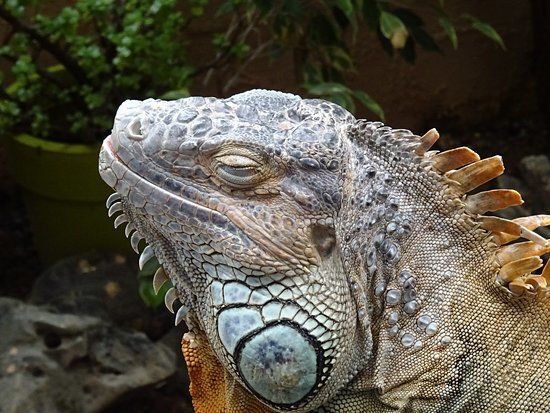 Акваріум "Аквауорлд"