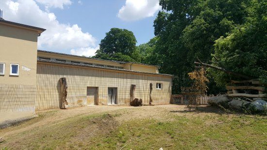 Франкфуртський зоопарк