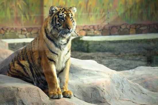 Луцький зоопарк